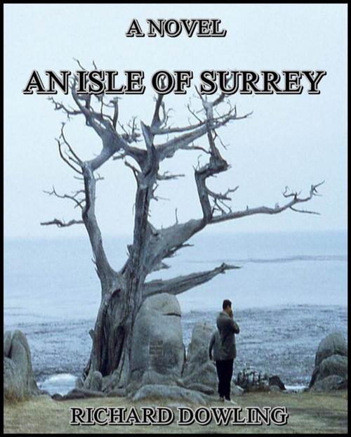 Cover of the book An Isle of Surrey : A Novel by Richard Dowling, WARD AND DOWNEY