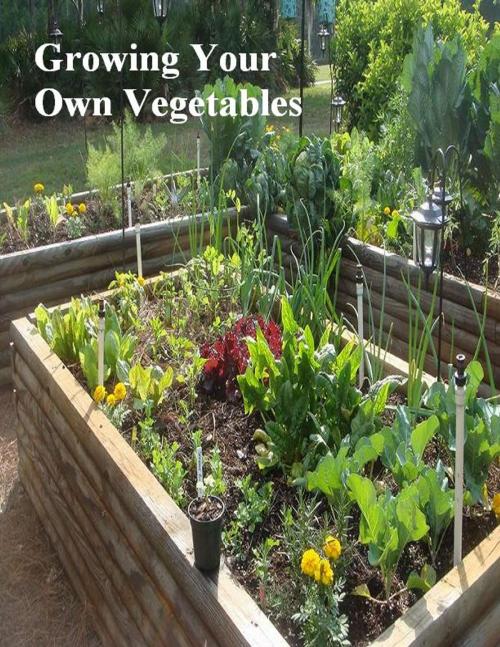 Cover of the book Growing Your Own Vegetables by V.T., V.T.