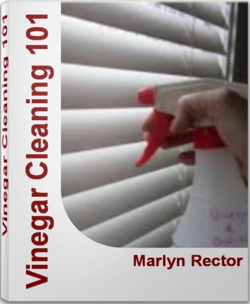 Cover of the book Vinegar Cleaning 101 by Marlyn Rector, Tru Divine Publishing