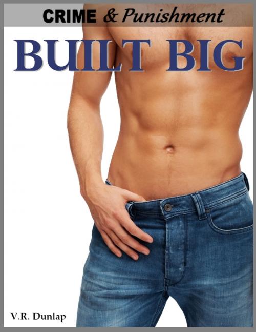 Cover of the book Built Big by V.R. Dunlap, TL&FP Publishing