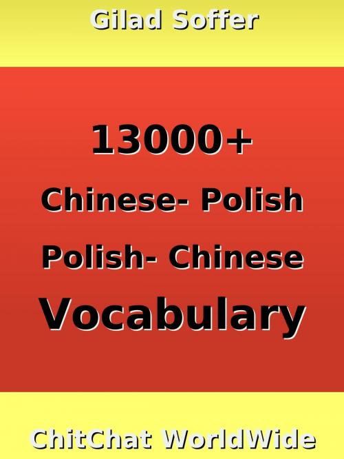 Cover of the book 13000+ Chinese - Polish Polish - Chinese Vocabulary by Gilad Soffer, Gilad Soffer