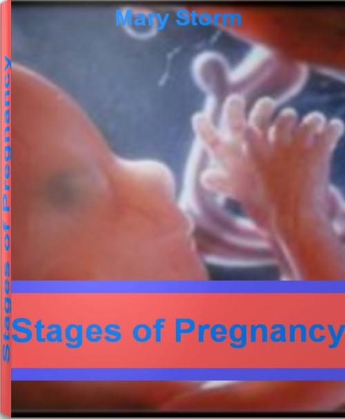 Cover of the book Stages of Pregnancy by Mary Storm, Tru Divine Publishing