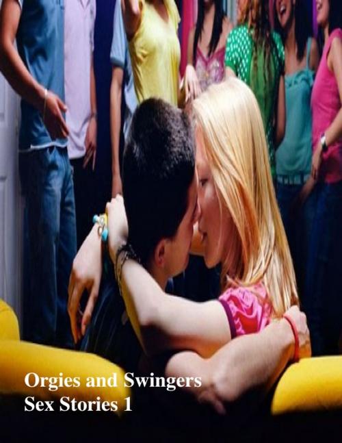 Cover of the book Orgies and Swingers Sex Stories 1 by V.T., V.T.