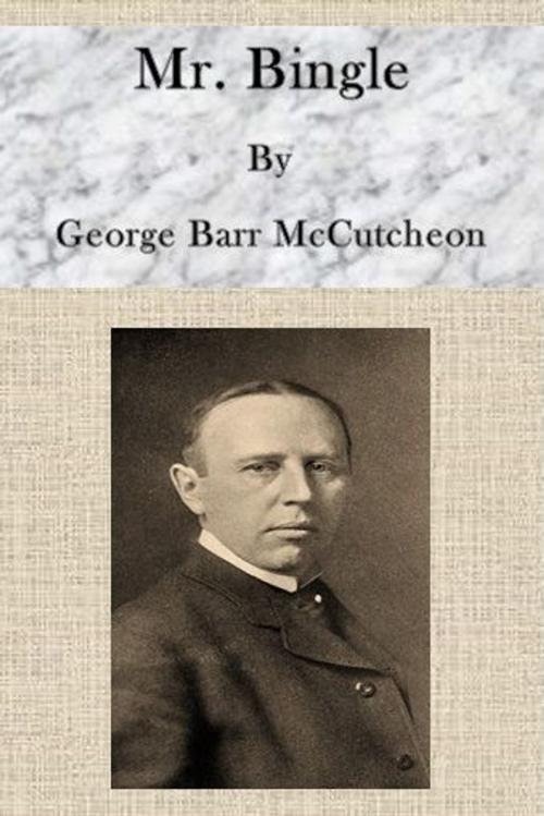 Cover of the book Mr. Bingle by George Barr McCutcheon, cbook6556