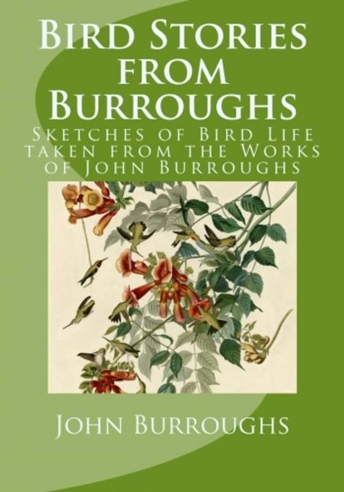 Cover of the book Bird Stories from Burroughs (Illustrated) by John Burroughs, True North