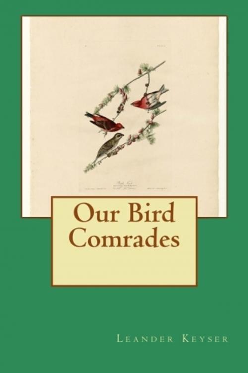 Cover of the book Our Bird Comrades (Illustrated) by Leander S Keyser, True North