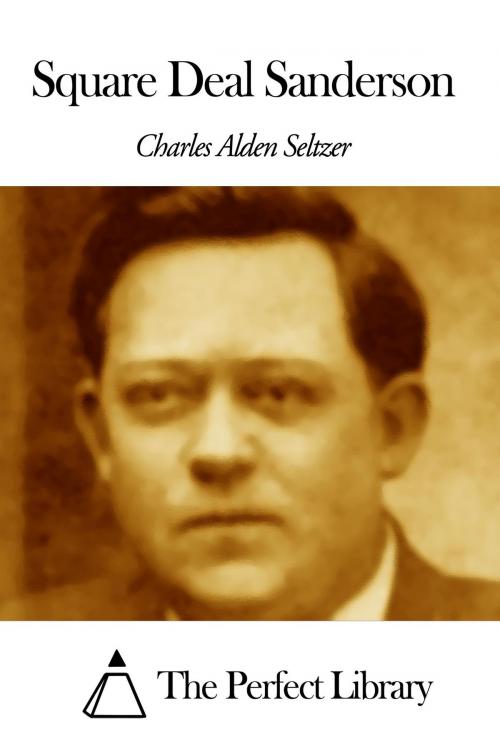 Cover of the book Square Deal Sanderson by Charles Alden Seltzer, The Perfect Library