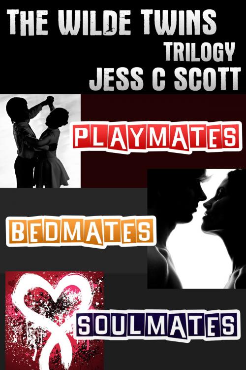Cover of the book Wilde Twins Trilogy by Jess C Scott, jessINK