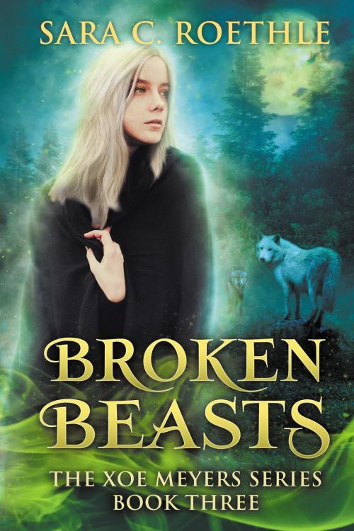 Cover of the book Broken Beasts by Sara C. Roethle, Vulture's Eye Publications