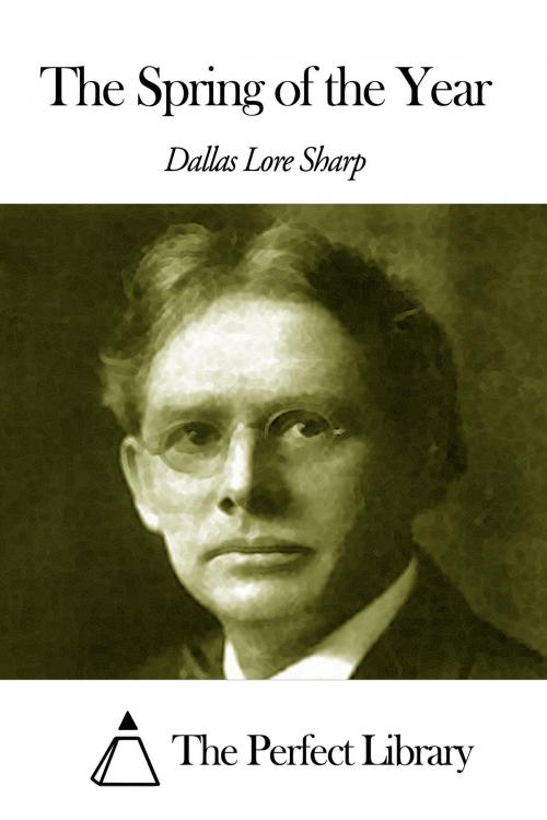 Cover of the book The Spring of the Year by Dallas Lore Sharp, The Perfect Library