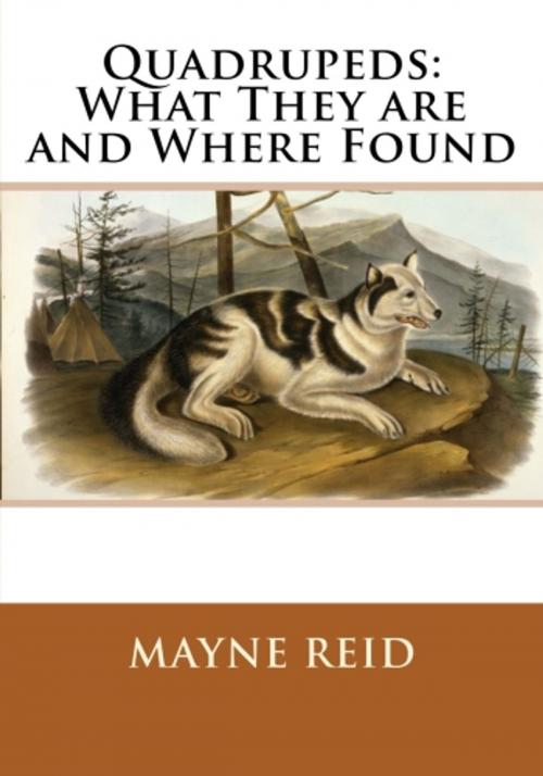 Cover of the book Quadrupeds: What They are and Where Found by Mayne Reid, True North
