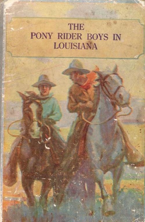 Cover of the book The Pony Rider Boys in Louisiana by Frank Gee Patchin, Classic Young Readers