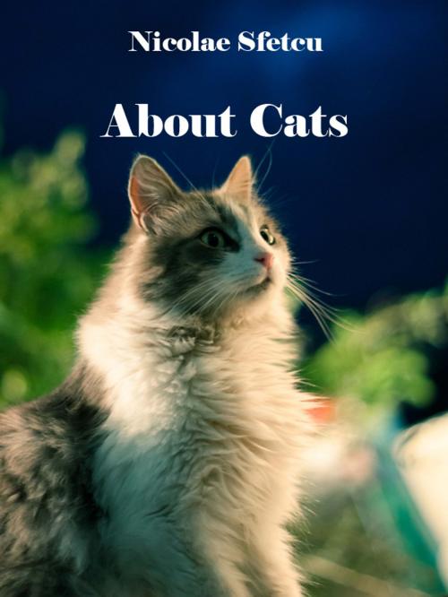 Cover of the book About cats by Nicolae Sfetcu, Nicolae Sfetcu
