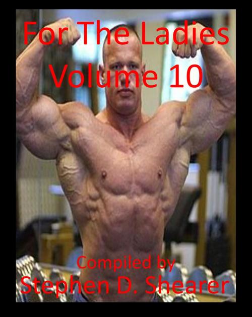 Cover of the book For The Ladies Volume 10 by Stephen Shearer, Butchered Tree Productions