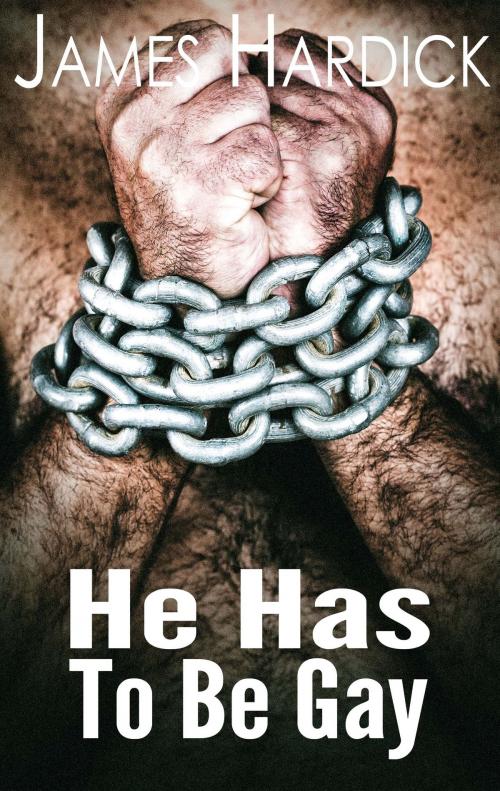 Cover of the book He Has To Be Gay by James Hardick, James Hardick