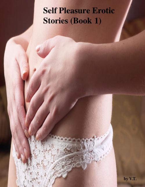 Cover of the book Self Pleasure Erotic Stories (Book 1) by V.T., V.T.