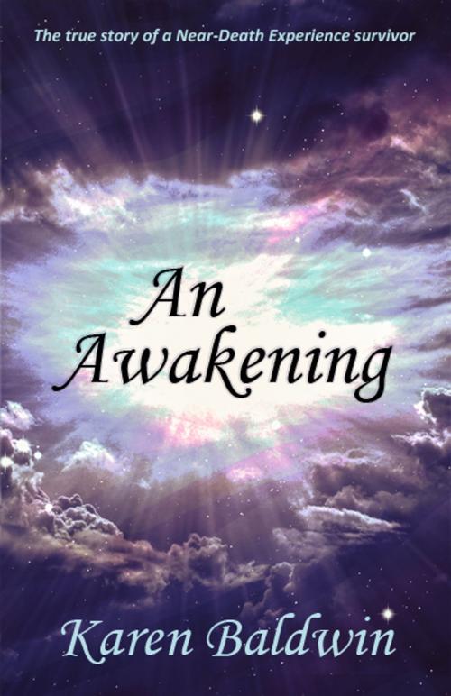 Cover of the book An Awakening by Karen Baldwin, Faith in One, LLC