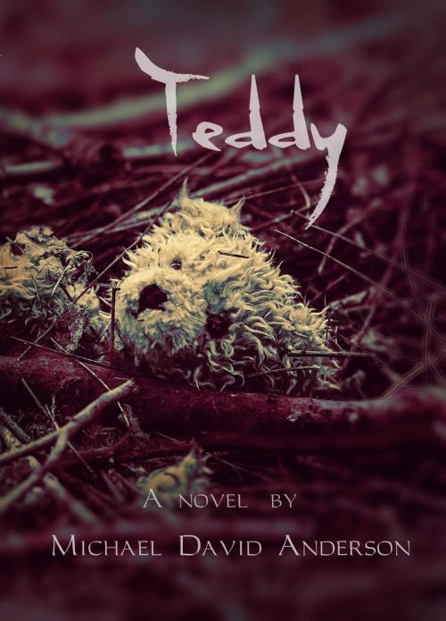 Cover of the book Teddy by Michael David Anderson, Michael David Anderson