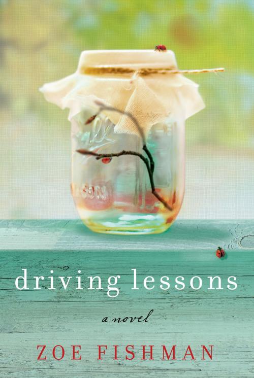 Cover of the book Driving Lessons by Zoe Fishman, William Morrow Paperbacks