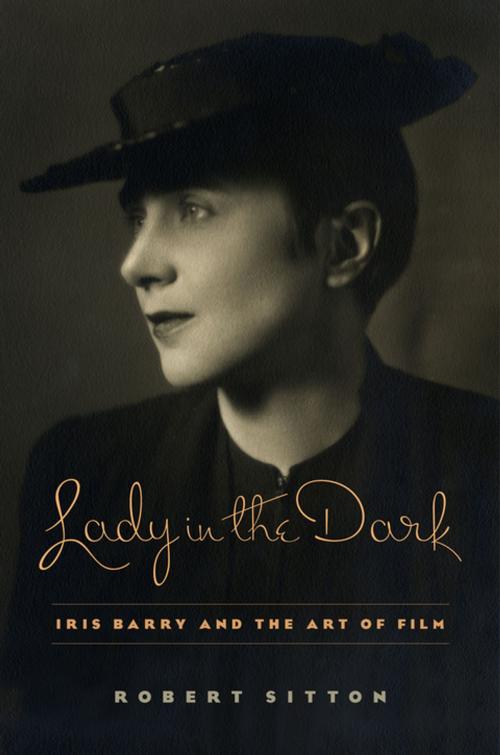 Cover of the book Lady in the Dark by Robert Sitton, Columbia University Press