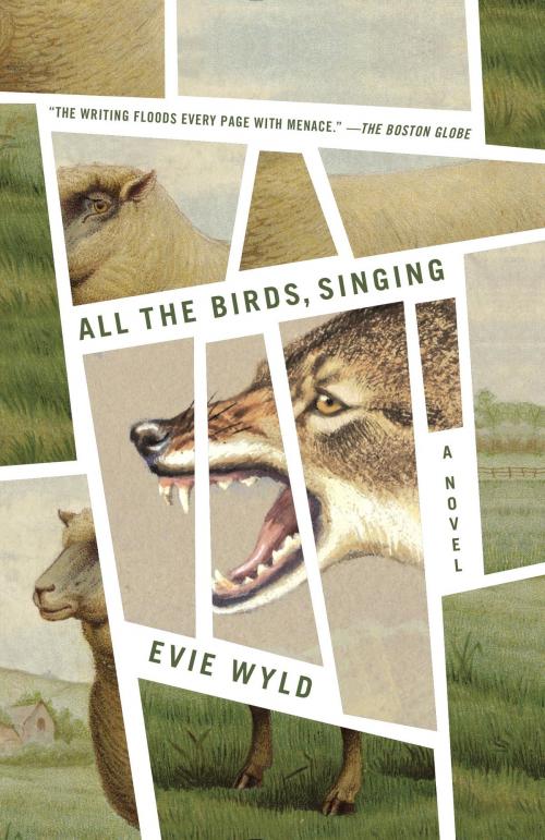 Cover of the book All the Birds, Singing by Evie Wyld, Knopf Doubleday Publishing Group