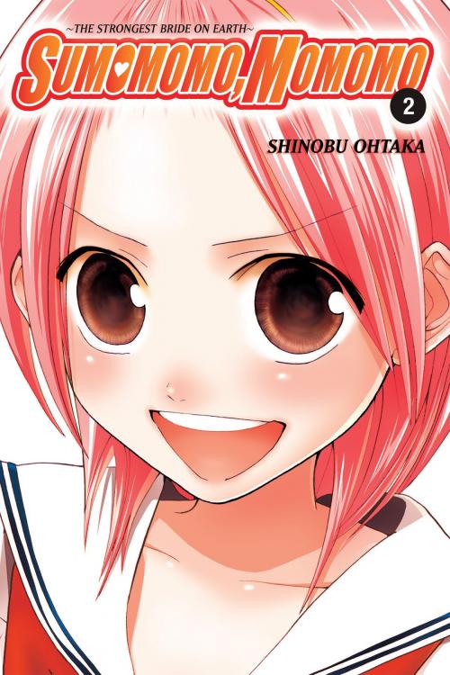 Cover of the book Sumomomo, Momomo, Vol. 2 by Shinobu Ohtaka, Yen Press