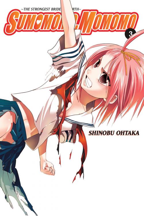 Cover of the book Sumomomo, Momomo, Vol. 3 by Shinobu Ohtaka, Yen Press