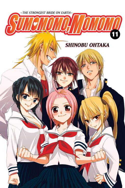 Cover of the book Sumomomo, Momomo, Vol. 11 by Shinobu Ohtaka, Yen Press