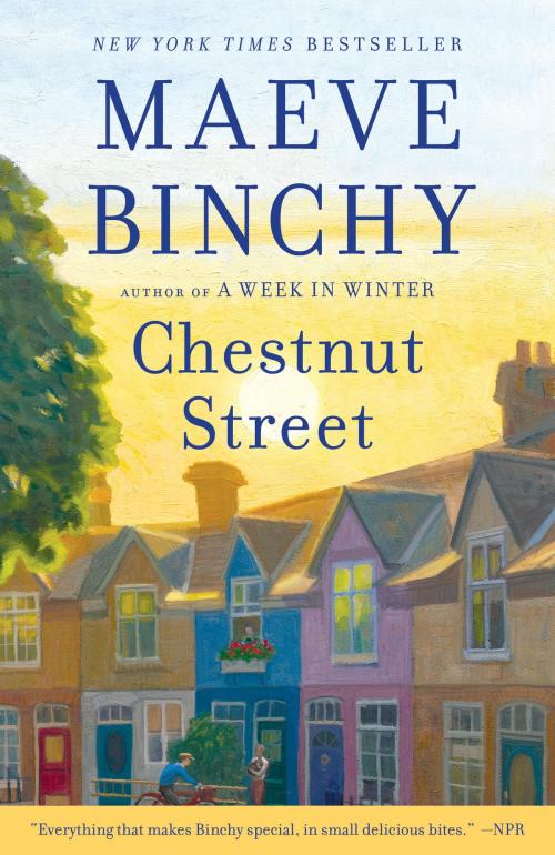 Cover of the book Chestnut Street by Maeve Binchy, Knopf Doubleday Publishing Group