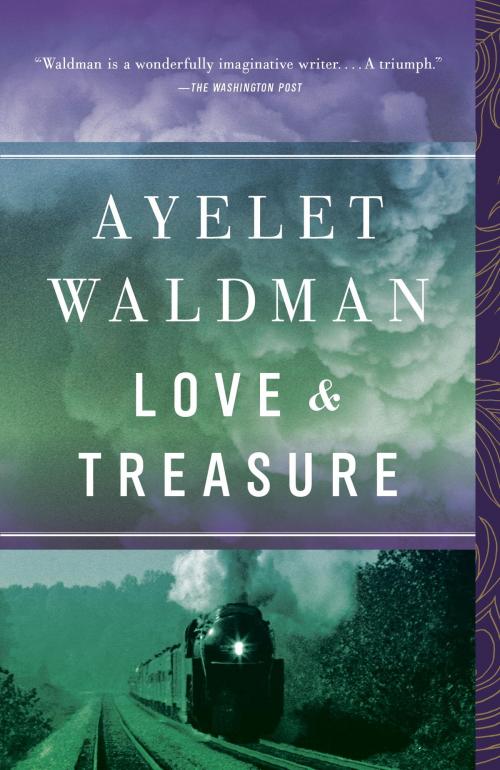 Cover of the book Love and Treasure by Ayelet Waldman, Knopf Doubleday Publishing Group