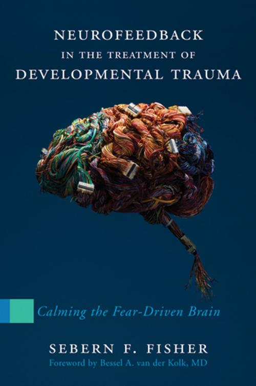 Cover of the book Neurofeedback in the Treatment of Developmental Trauma: Calming the Fear-Driven Brain by Sebern F. Fisher, W. W. Norton & Company
