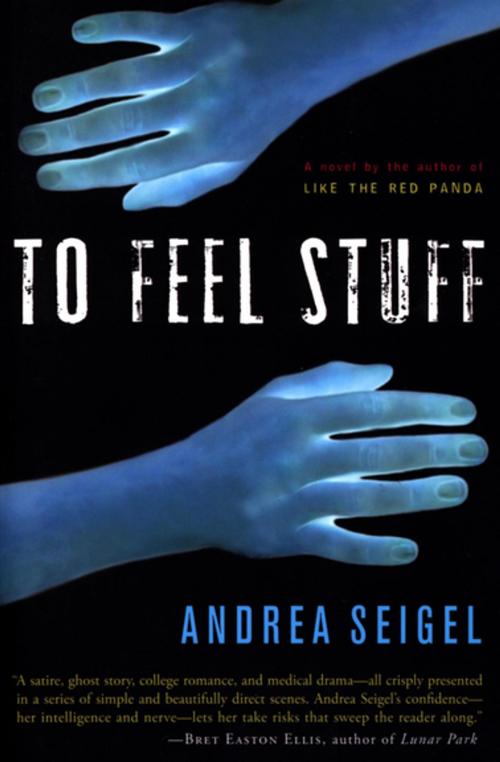 Cover of the book To Feel Stuff by Andrea Seigel, Houghton Mifflin Harcourt