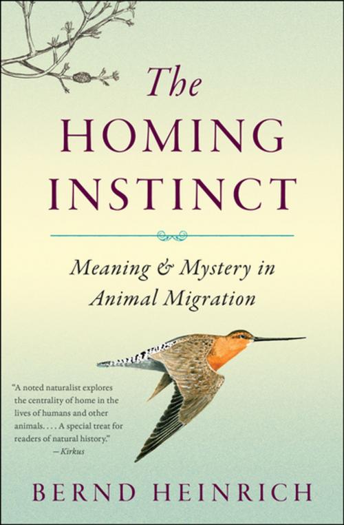 Cover of the book The Homing Instinct by Bernd Heinrich, Houghton Mifflin Harcourt