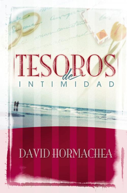 Cover of the book Tesoros de intimidad by David Hormachea, Grupo Nelson