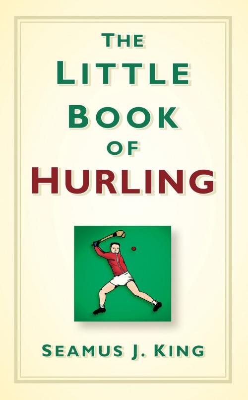 Cover of the book Little Book of Hurling by Seamus J. King, The History Press