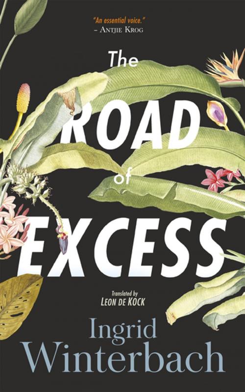 Cover of the book The Road of Excess by Ingrid Winterbach, Human & Rousseau