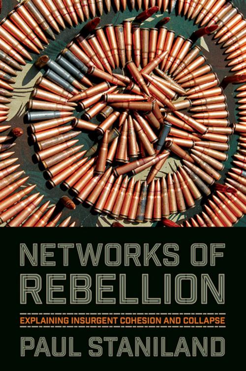Cover of the book Networks of Rebellion by Paul Staniland, Cornell University Press
