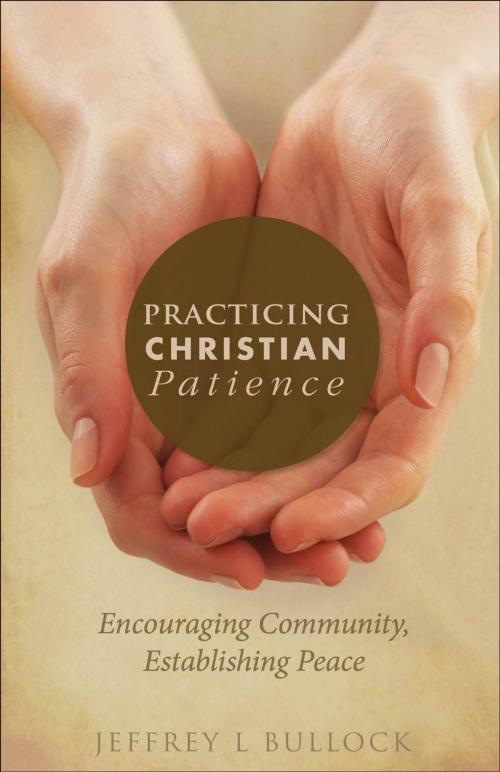 Cover of the book Practicing Christian Patience by Jeffrey L Bullock, Church Publishing Inc.