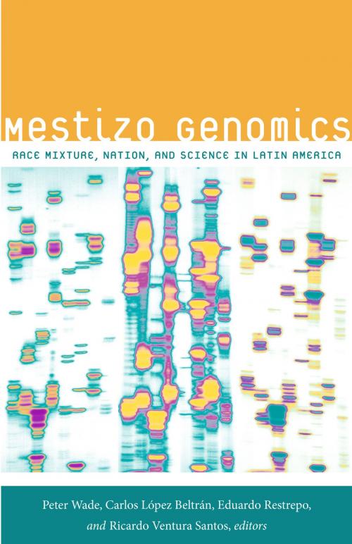 Cover of the book Mestizo Genomics by , Duke University Press