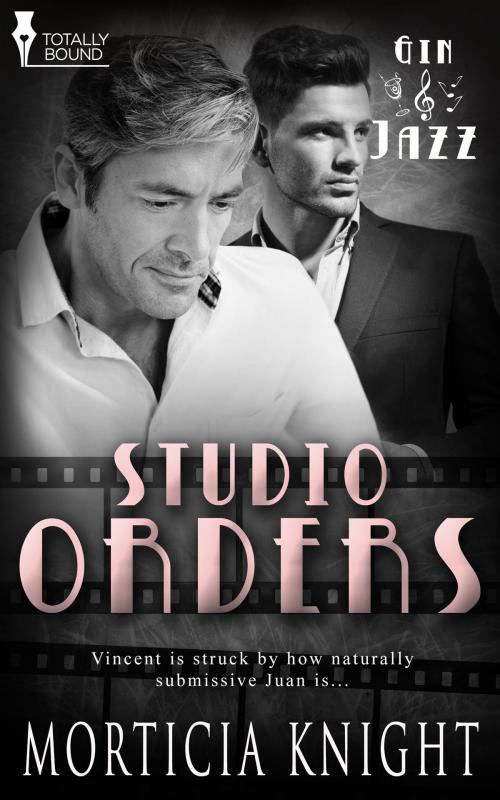 Cover of the book Studio Orders by Morticia Knight, Totally Entwined Group Ltd