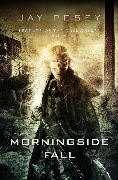 Cover of the book Morningside Fall by Jay Posey, Watkins Media