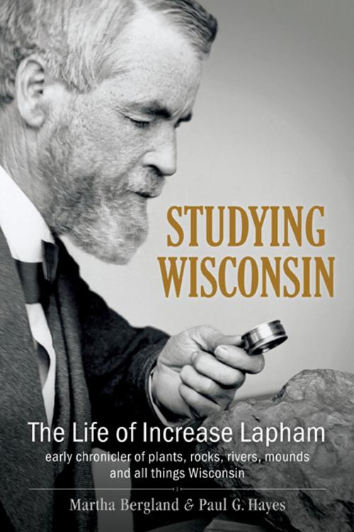 Cover of the book Studying Wisconsin by Martha Bergland, Paul G. Hayes, Wisconsin Historical Society Press