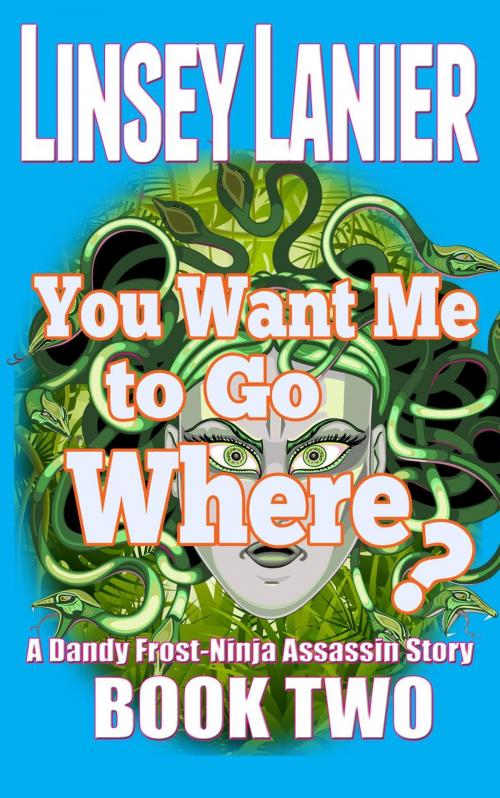Cover of the book You Want Me to Go Where? by Linsey Lanier, Felicity Books