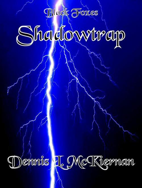Cover of the book Shadowtrap by Dennis L. McKiernan, Dennis L. McKiernan