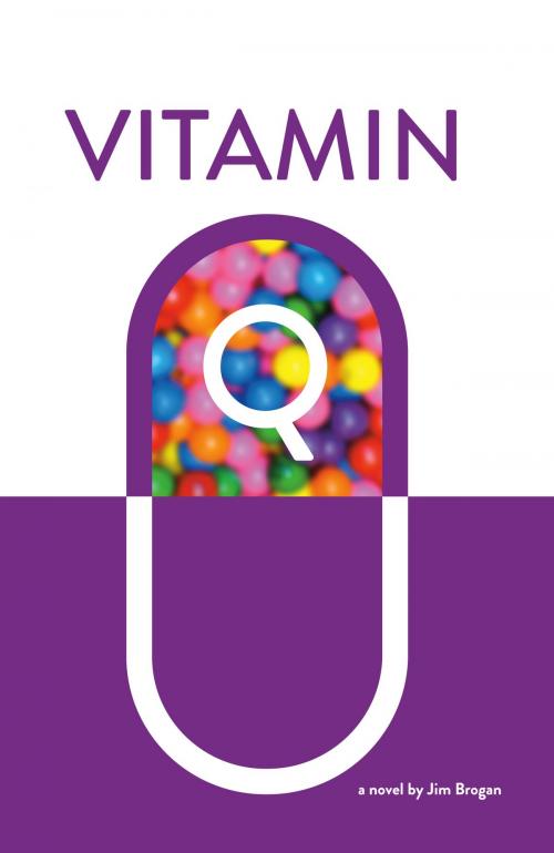 Cover of the book Vitamin Q by Jim Brogan, Equanimity Press