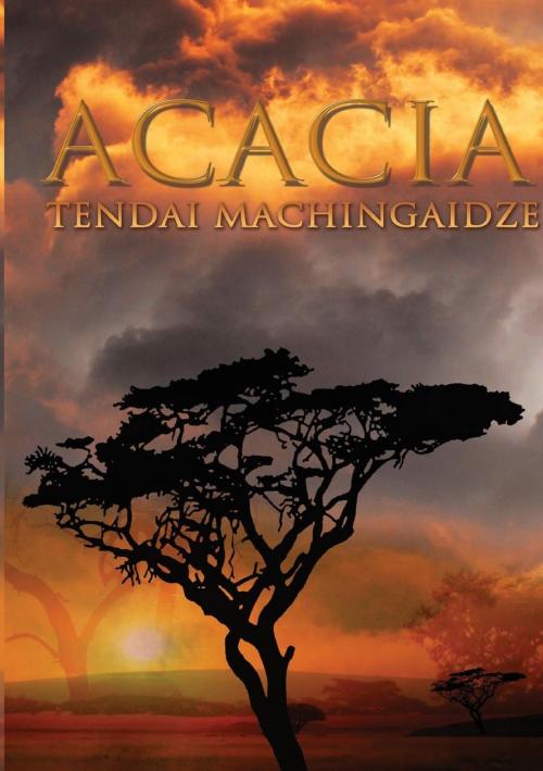 Cover of the book Acacia by Tendai Machingaidze, African Perspectives Publishing
