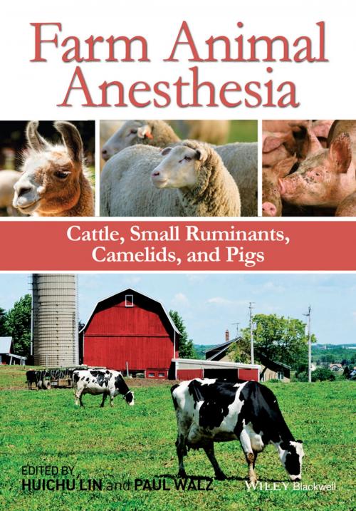 Cover of the book Farm Animal Anesthesia by , Wiley