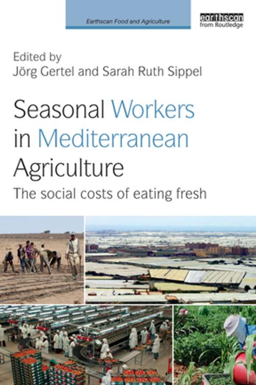 Cover of the book Seasonal Workers in Mediterranean Agriculture by , Taylor and Francis