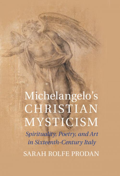 Cover of the book Michelangelo's Christian Mysticism by Sarah Rolfe Prodan, Cambridge University Press