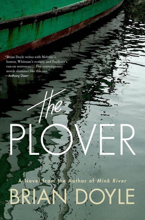 Cover of the book The Plover by Brian Doyle, St. Martin's Press